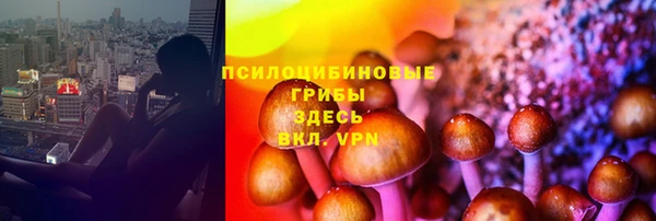 герыч Аркадак