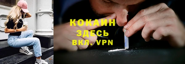 соль ск Арсеньев