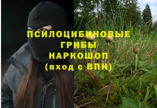 соль ск Арсеньев