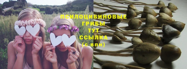 ALPHA PVP Армянск