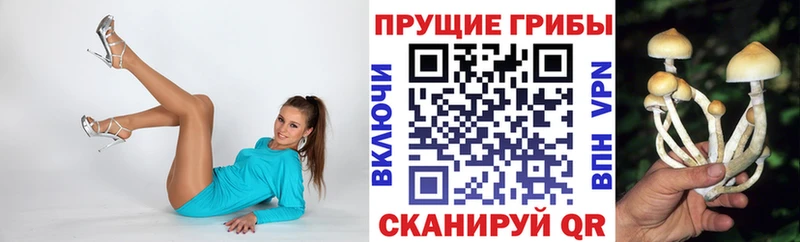 Галлюциногенные грибы Cubensis Новоалтайск