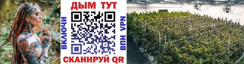 Шишки марихуана ГИДРОПОН  цена   Новоалтайск 